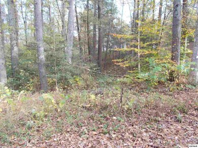 00 Holly Ln, Sevierville, TN 37876 - photo 2