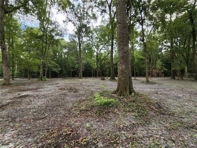 Lot 51 SW Boston Terrace, Fort White, FL 32038 - photo 5