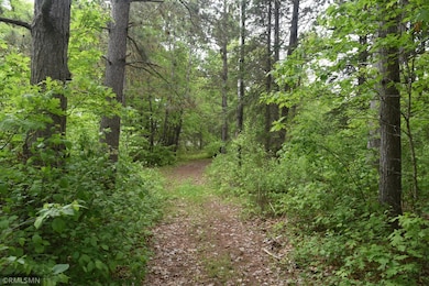 44863 State Highway 48, Hinckley, MN 55037 - photo 2