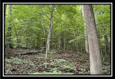 0 Old Union Rd unit 222021550, Ironton, OH 45638 - photo 6