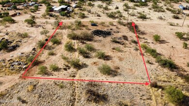 Roundup Aerial 1