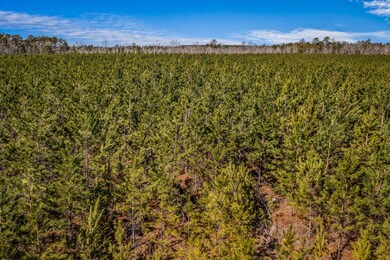 0 Moton Moore Rd unit 542113, McCormick, SC 29835 - photo 4