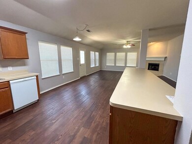 7501 Sunburst Trail, Denton, TX 76210 - photo 4