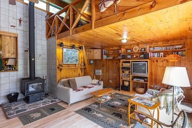 3666 Mackie Rd, Ely, MN 55731 - photo 5