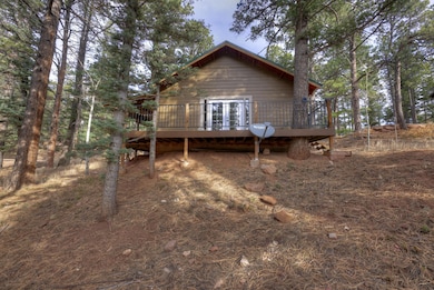 287 County Road 401, La Veta, CO 81055 - photo 4
