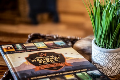 240 Forrest Loop Way, Gatlinburg, TN 37738 - photo 7