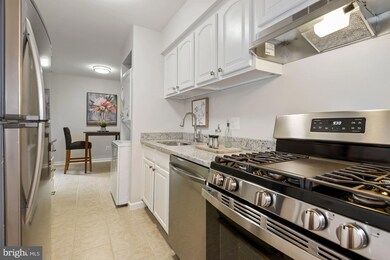 11220 Chestnut Grove Square unit 323, Reston, VA 20190 - photo 6