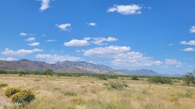 10 AC W Trigger Ln, Cochise, AZ 85606 - photo 3