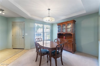 603 S Raccoon Rd unit 9, Austintown, OH 44515 - photo 6