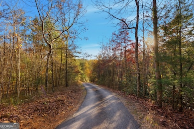 201 Spookhaven Ln, Clarkesville, GA 30523 - photo 7