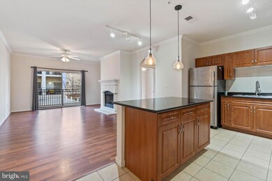 12909 Centre Park Cir unit 203, Oak Hill, VA 20171 - photo 3