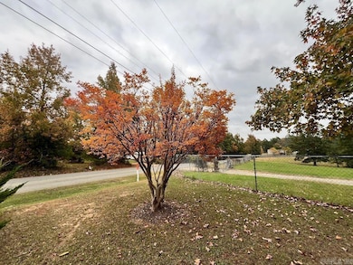 1658 Avalon Rd, Star City, AR 71667 - photo 3