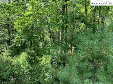 Lot #67 Autumn Fern Trail, West Jefferson, NC 28694 - photo 7