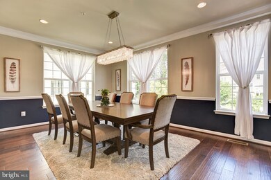 1042 Red Clover Rd, Gambrills, MD 21054 - photo 7