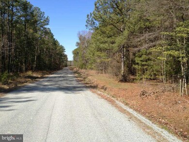 0 Winter Harbor Rd unit 1003391226, Colonial Beach, VA 22443 - photo 6