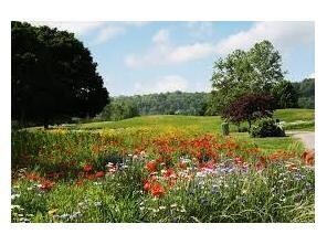 13 Cowgur Ln, Bella Vista, AR 72715 - photo 5