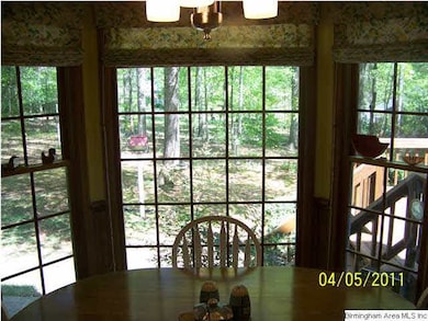 View out kitchen window