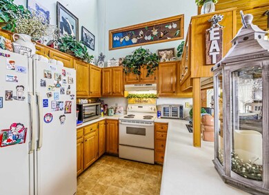 340 SW 8th Ave, Cedaredge, CO 81413 - photo 4