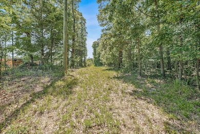 3309-B S Culberhouse St, Jonesboro, AR 72404 - photo 2