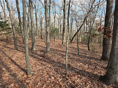 TBD Blue Mountain Rd, Prairie Grove, AR 72753 - photo 6