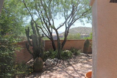 back yard copy