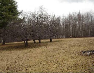 Yard/Garden. with old fruit trees