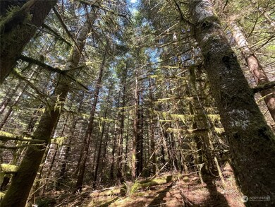 0 Wiest Rd unit NWM2155730, Longview, WA 98632 - photo 5