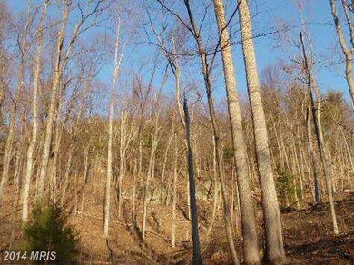 0 Middle River Forest unit 1003066710, Stanardsville, VA 22973 - photo 4