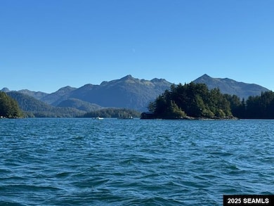 0 Legal Address Only unit Iffish Island 25307, Sitka, AK 99835 - photo 6