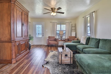 Living room with dark wood-style floors, a texture