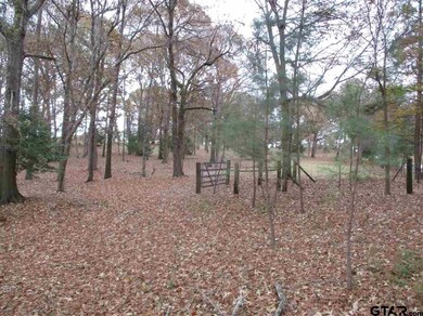 11059 County Road 290, Tyler, TX 75707 - photo 2