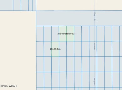 0 Lot 20 21 46 unit 257675, Adamana, AZ 86028 - photo 2