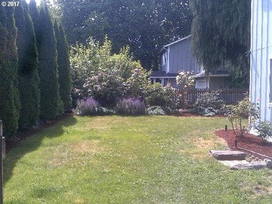 Front Yard