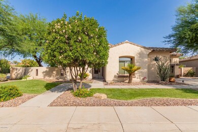 0001-Mesquite Grove 1