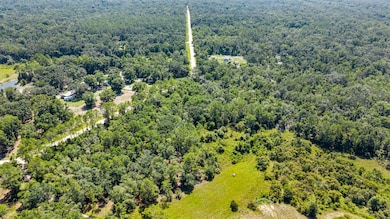 0 NE 354th Ave, Old Town, FL 32680 - photo 4