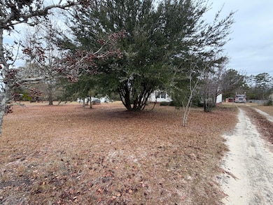 4305 Questria Dr, Sumter, SC 29154 - photo 4