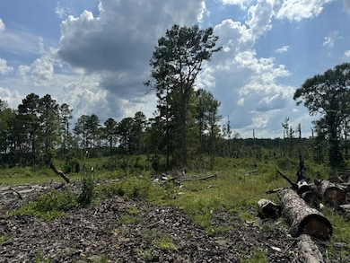 0 Busy Corner Rd, Gloster, MS 39638 - photo 5