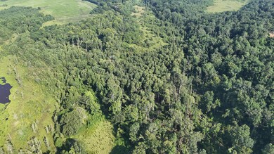 DJI_20250722103004_0248_D