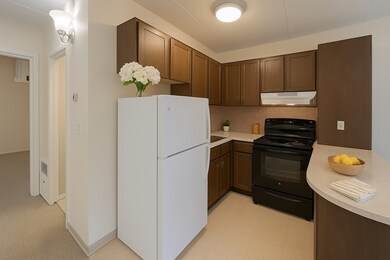 Parkview Condominiums unit T28, Winchester, MA 01890 - photo 3