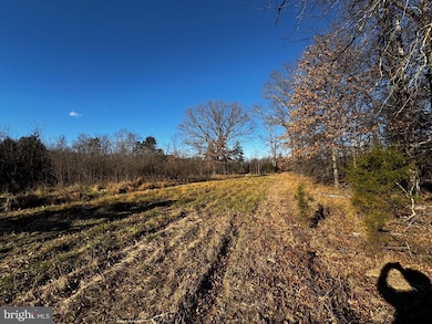 20 Hallows Way, Gerrardstown, WV 25420 - photo 6