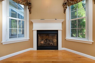 46 Sig gas fireplace