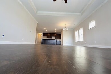 232 Mary Ann Cir, Spring Hill, TN 37174 - photo 7