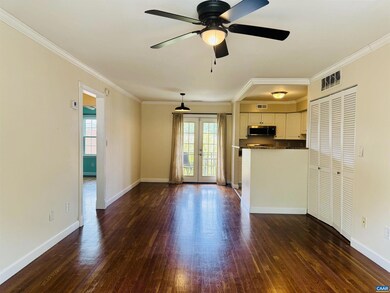 161 Hessian Hills Way unit 4, Charlottesville, VA 22901 - photo 3