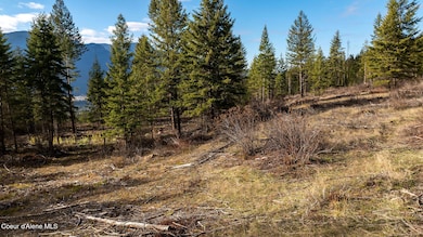 773 Cougar Loop, Clark Fork, ID 83811 - photo 3