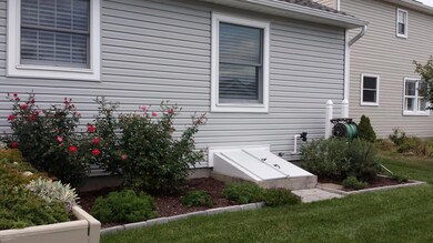 image (4)