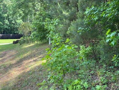 0 Mount Vintage Plantation Dr unit 541851, Edgefield, SC 29860 - photo 4