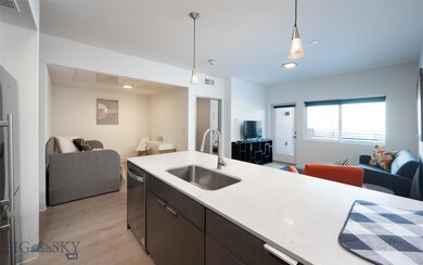 718 W Babcock St unit 204, Bozeman, MT 59715 - photo 3