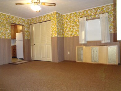 14 Saams Rd, Drums, PA 18222 - photo 3