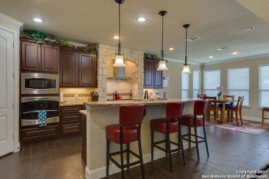 25907 Natal Plum, San Antonio, TX 78261 - photo 5