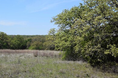 00 Jordan, Poolville, TX 76487 - photo 2